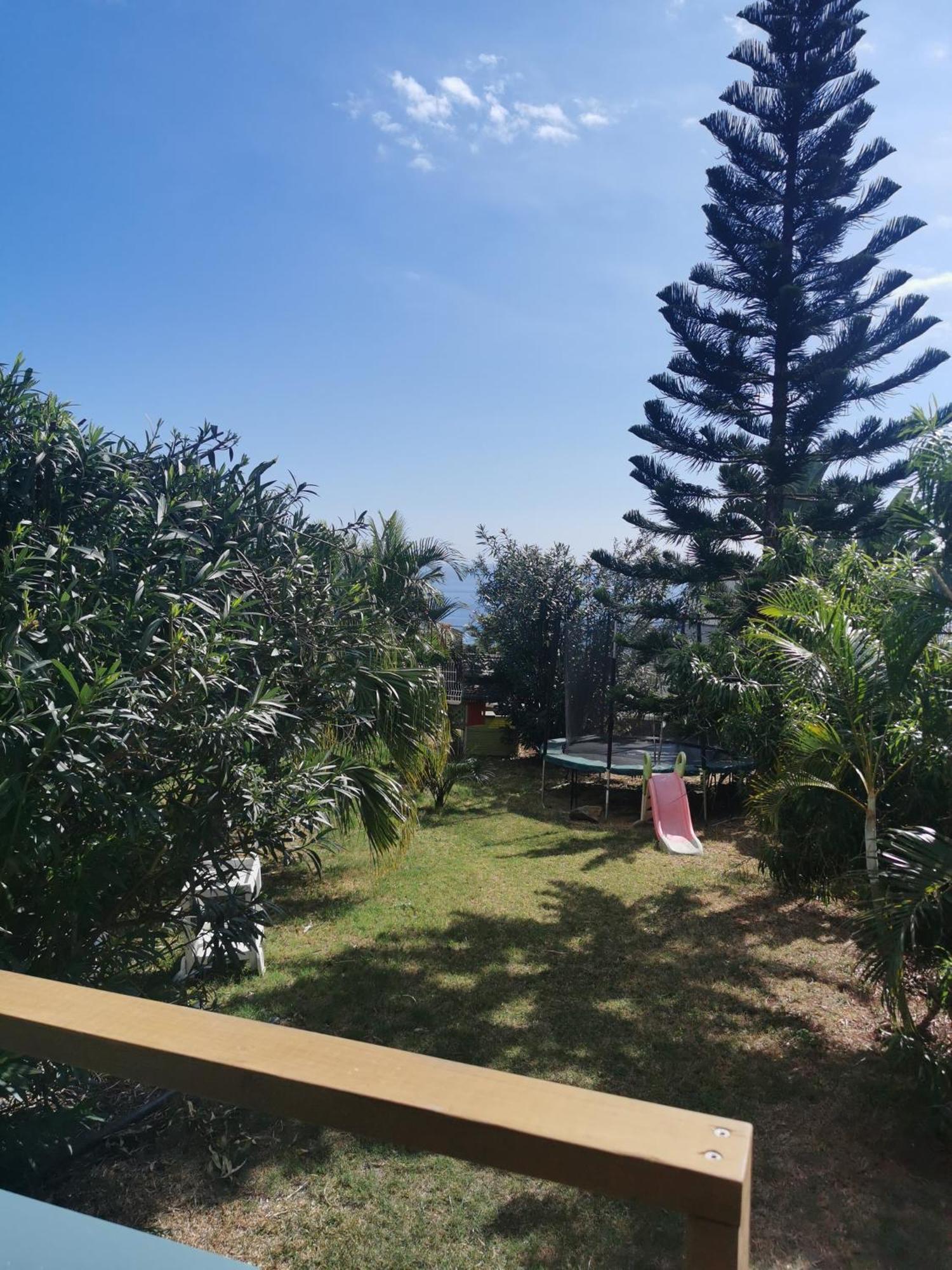 Appartamento L'Araucaria Saint-Paul Esterno foto